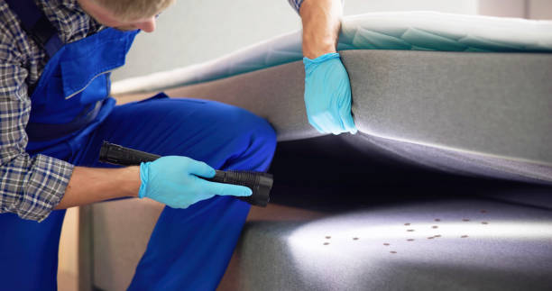 Best Affordable Pest Control Services  in Bull Shoals, AR