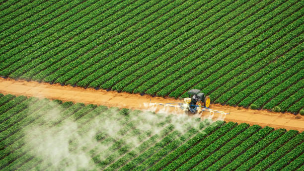 Best Pest Control Treatment  in Bull Shoals, AR