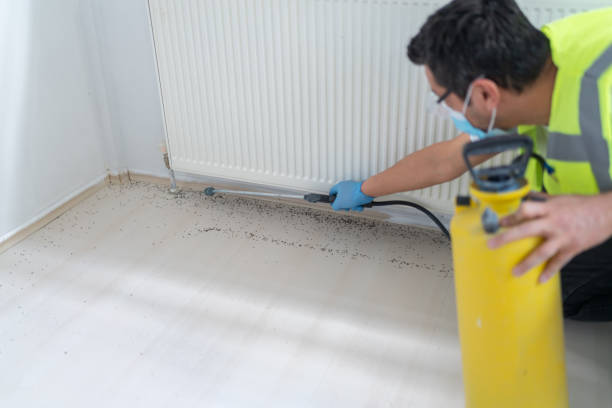 Best Bed Bug Extermination  in Bull Shoals, AR